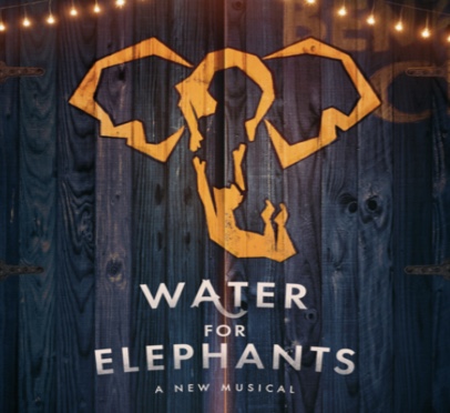 Afc80f6e A9ff 4d97 Ae8c E39b6f623896